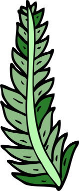 Bir insan tarafından çizilmiş karalama evi bitkisi.