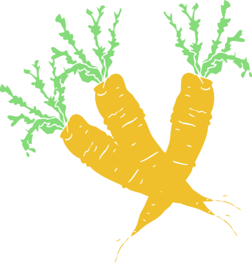 Bir insan tarafından çizilmiş havuçların düz renk çizimi