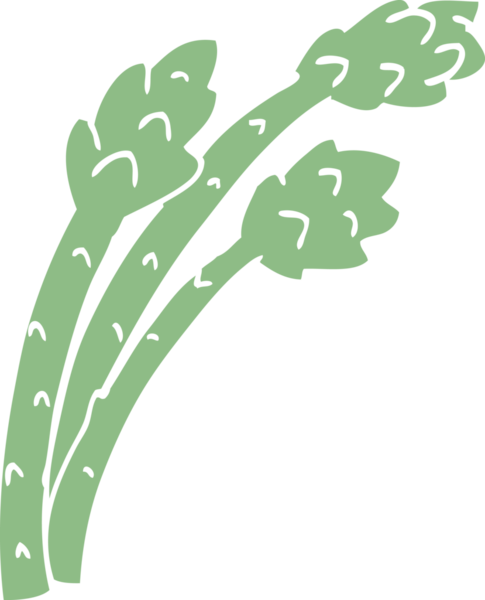 bir insan tarafından çizilmiş karalama kuşkonmaz bitkisi