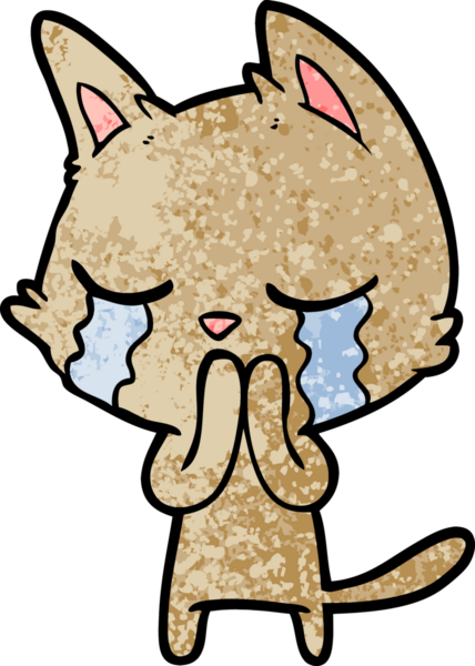 Bir insan tarafından çizilmiş ağlayan çizgi film kedisi.