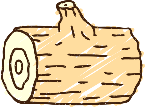 Bir insan tarafından çizilen Günlük Kaydı Çizimi