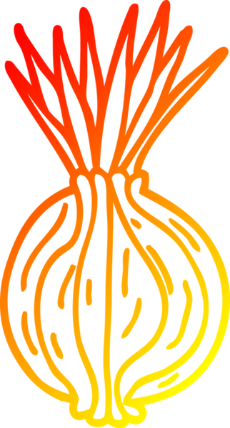 Bir insan tarafından çizilen soğan filizlenen çizgi filmin sıcak gradyan çizimi