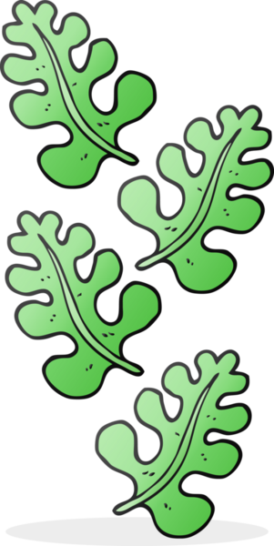 Bir insan tarafından çizilmiş serbest çizgi film yaprakları