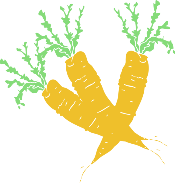 Bir insan tarafından çizilmiş havuçların düz renk çizimi