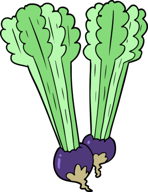 bir insan tarafından çizilmiş pancar kökleri.