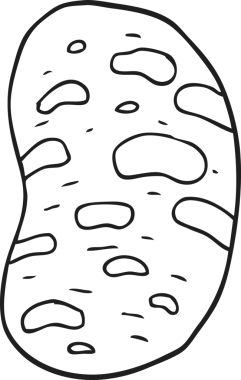 Bir insan tarafından çizilmiş siyah beyaz patates çizimi.