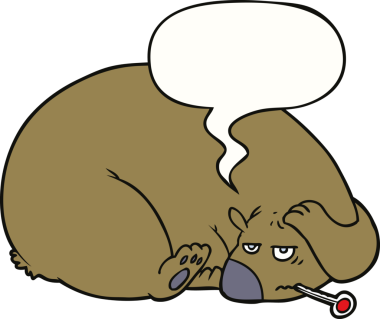 Bir insan tarafından çizilmiş, kafası ağrıyan bir karikatür ayısı.