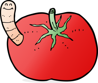 Bir insan tarafından çizilmiş solucanlı domates.