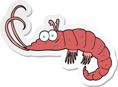 Bir insan tarafından çizilmiş karides etiketi.