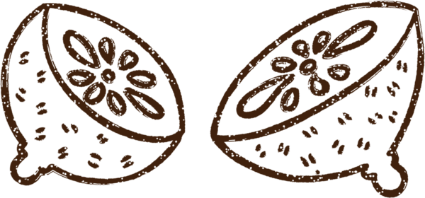 Bir insan tarafından çizilmiş limon kömürü.