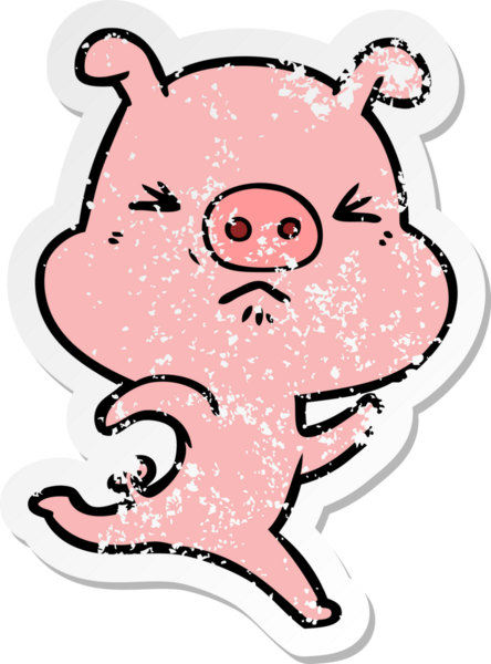 Bir insan tarafından çizilmiş kızgın bir domuzun sıkıntılı çıkartması.