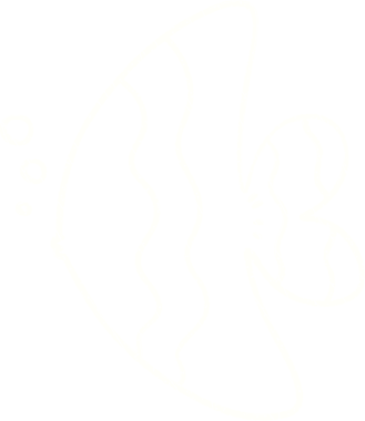 Bir insan tarafından çizilen Melek Balığı Tebeşiri