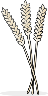 Bir insan tarafından çizilmiş serbest çizim buğday