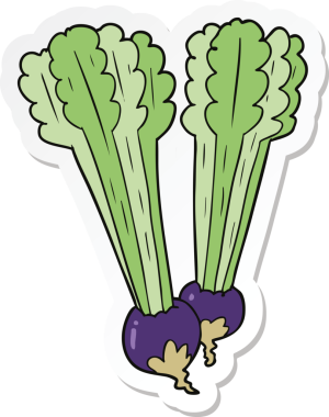 Bir insan tarafından çizilmiş pancar pancarının çıkartması.