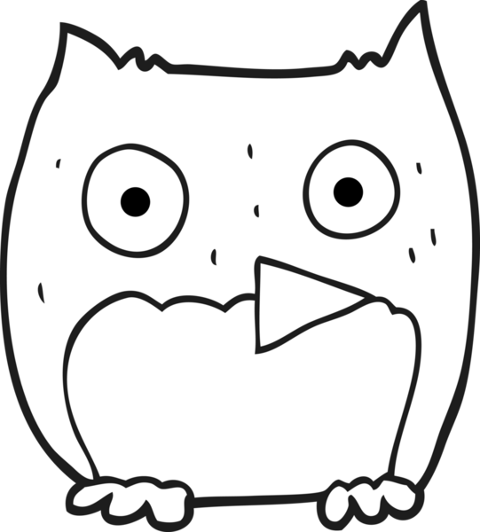 Bir insan tarafından çizilmiş siyah beyaz baykuş çizimi.