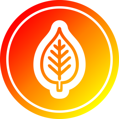 Bir insan tarafından çizilmiş doğal yaprak dairesel simgesi.