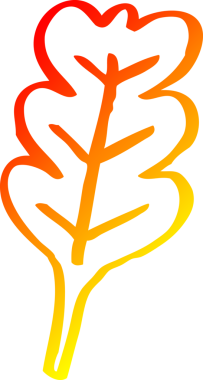 Bir insan tarafından çizilen meşe yaprağının sıcak çizgi çizimi