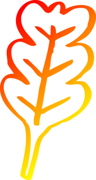 Bir insan tarafından çizilen meşe yaprağının sıcak çizgi çizimi