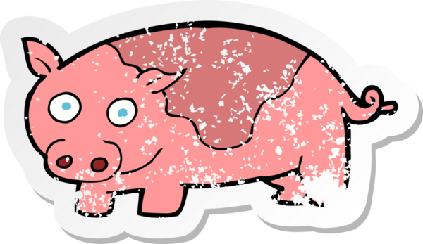 Bir insan tarafından çizilmiş bir domuzun gerilmiş çıkartması.