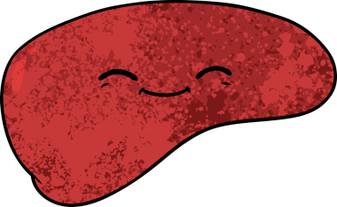 Bir insan tarafından çizilmiş karaciğer.