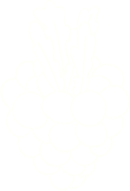 Bir insan tarafından çizilen çilek tebeşiri.