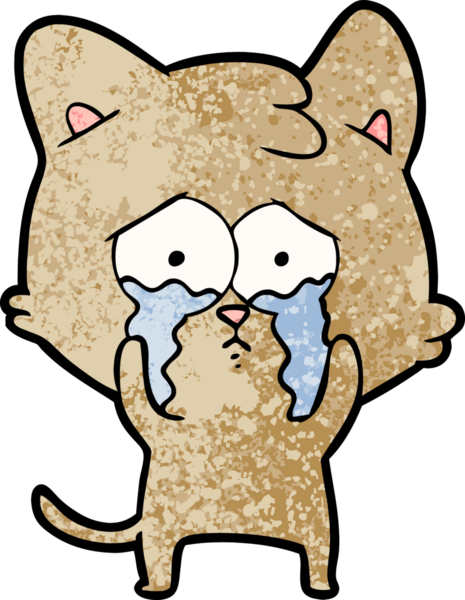 Bir insan tarafından çizilmiş ağlayan kedi çizgi filmi.