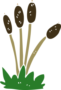 Bir insan tarafından çizilmiş sazlıkların karalama yatağı.