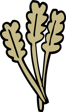 Karalama tarzı karikatür. Kurutulmuş buğday. Bir insan tarafından çizilmiş.