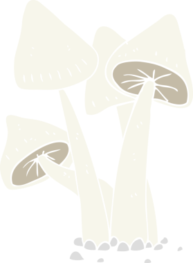 Bir insan tarafından çizilmiş mantarların düz renk çizimi