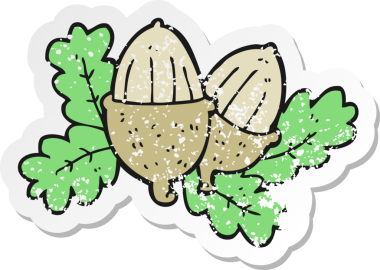 Bir insan tarafından çizilmiş bir meşe palamudunun gerilemiş çıkartması.