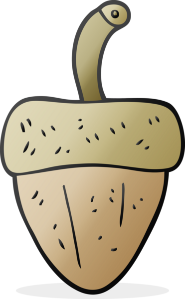 Bir insan tarafından çizilmiş meşe palamudu.