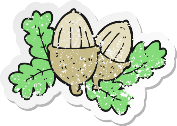 Bir insan tarafından çizilmiş bir meşe palamudunun gerilemiş çıkartması.