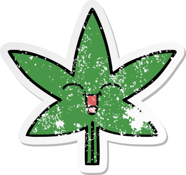 Bir insan tarafından çizilmiş marihuana yaprağının sıkıntılı çıkartması.