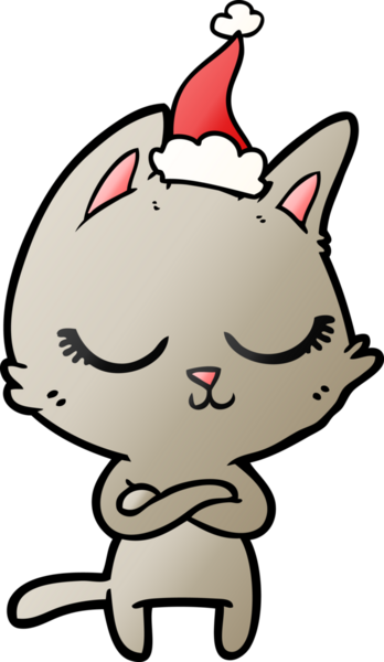 Sakin el çizimi. Bir insan tarafından çizilmiş Noel Baba şapkası takan bir kedi çizimi.