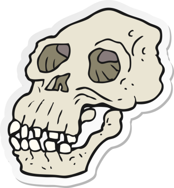 Bir insan tarafından çizilmiş antik bir kafatası karikatürü.