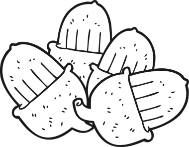 Bir insan tarafından çizilmiş siyah beyaz meşe palamutları.