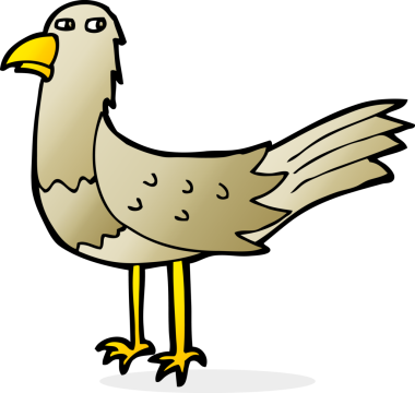 Bir insan tarafından çizilmiş çizgi film kuşu.