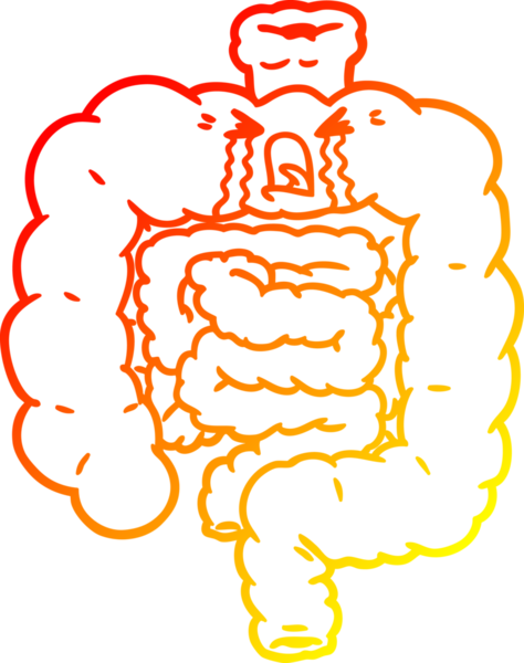 Bir insan tarafından çizilmiş bağırsak karikatürünün sıcak çizgi çizimi