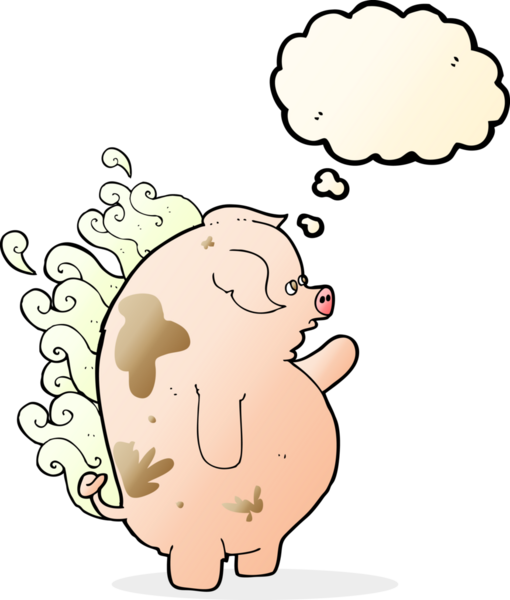 Bir insan tarafından çizilmiş düşünce baloncuklu şişman kokuşmuş domuz.