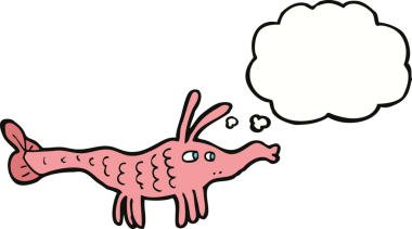 Bir insan tarafından çizilmiş düşünce baloncuklu karides.