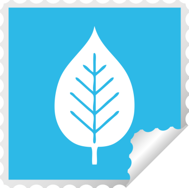 Bir insan tarafından çizilmiş yeşil bir yaprağın kare kabuğu çıkartması.