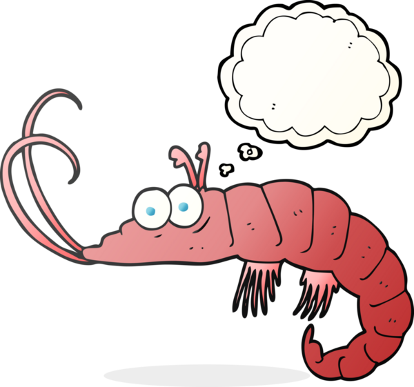 Bir insan tarafından çizilmiş serbest çizim baloncuklu karides.