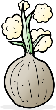 Bir insan tarafından çizilmiş karikatür soğanı.