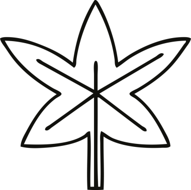 Bir insan tarafından çizilmiş bir sonbahar yaprağının çizgi çizimi