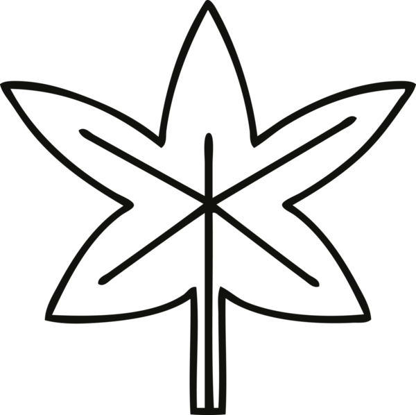 Bir insan tarafından çizilmiş bir sonbahar yaprağının çizgi çizimi