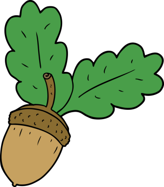 Bir insan tarafından çizilmiş bir palamut.