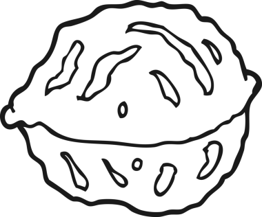 Bir insan tarafından çizilmiş kabuklu siyah beyaz ceviz.