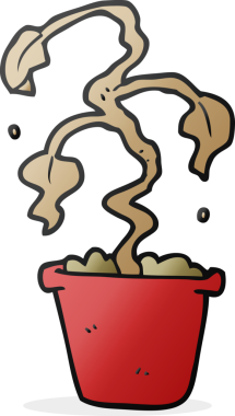 Bir insan tarafından çizilmiş karikatür ölü ev bitkisi