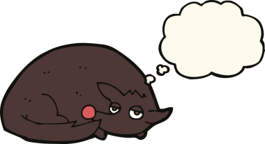 Bir insan tarafından çizilmiş düşünce balonuyla kıvrılmış bir köpek.