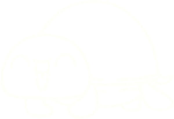 Bir insan tarafından çizilen Mutlu Kaplumbağa Tebeşiri